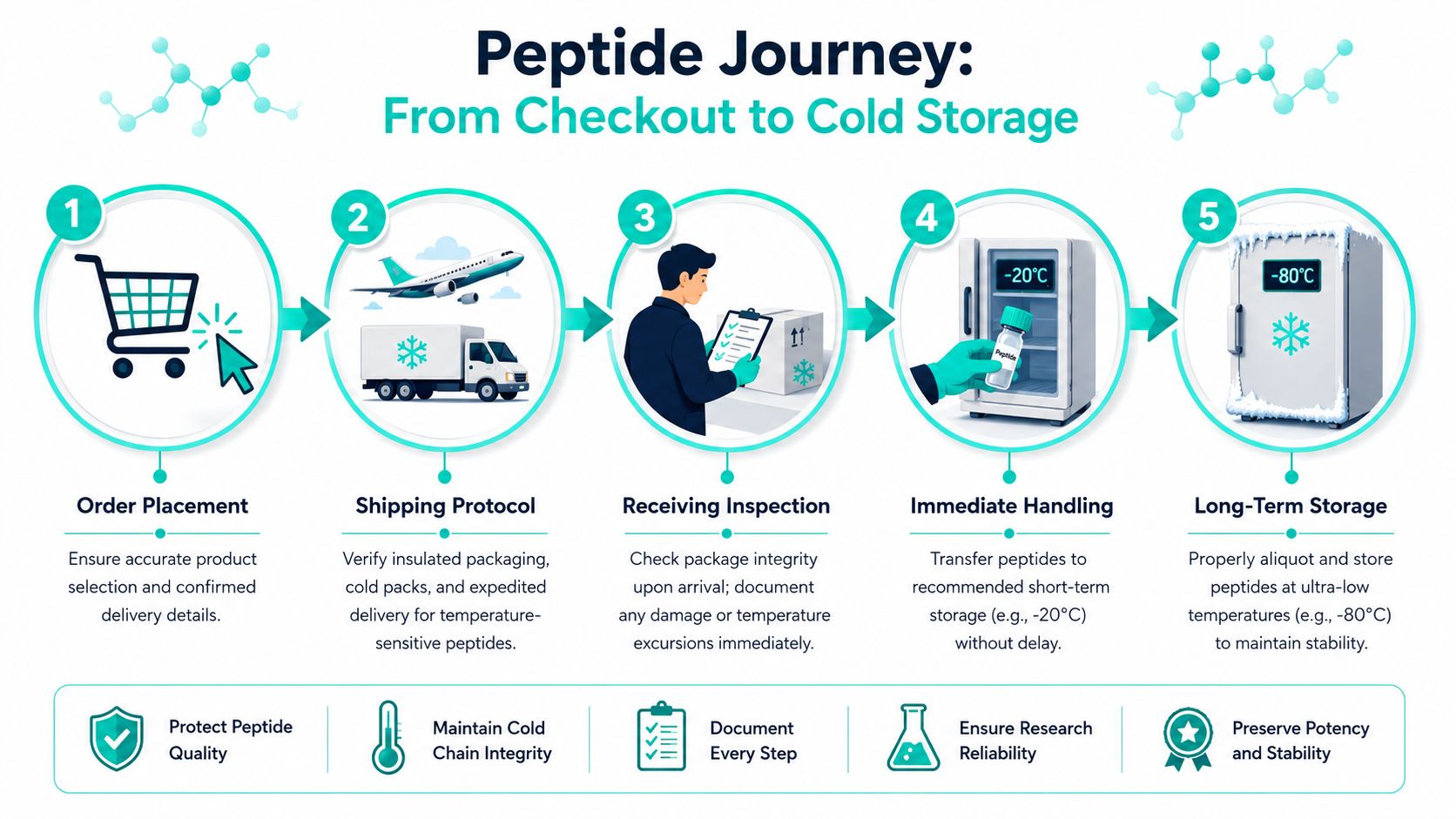 A five-step infographic illustrating the professional handling of peptide shipping, receiving, and storage processes.