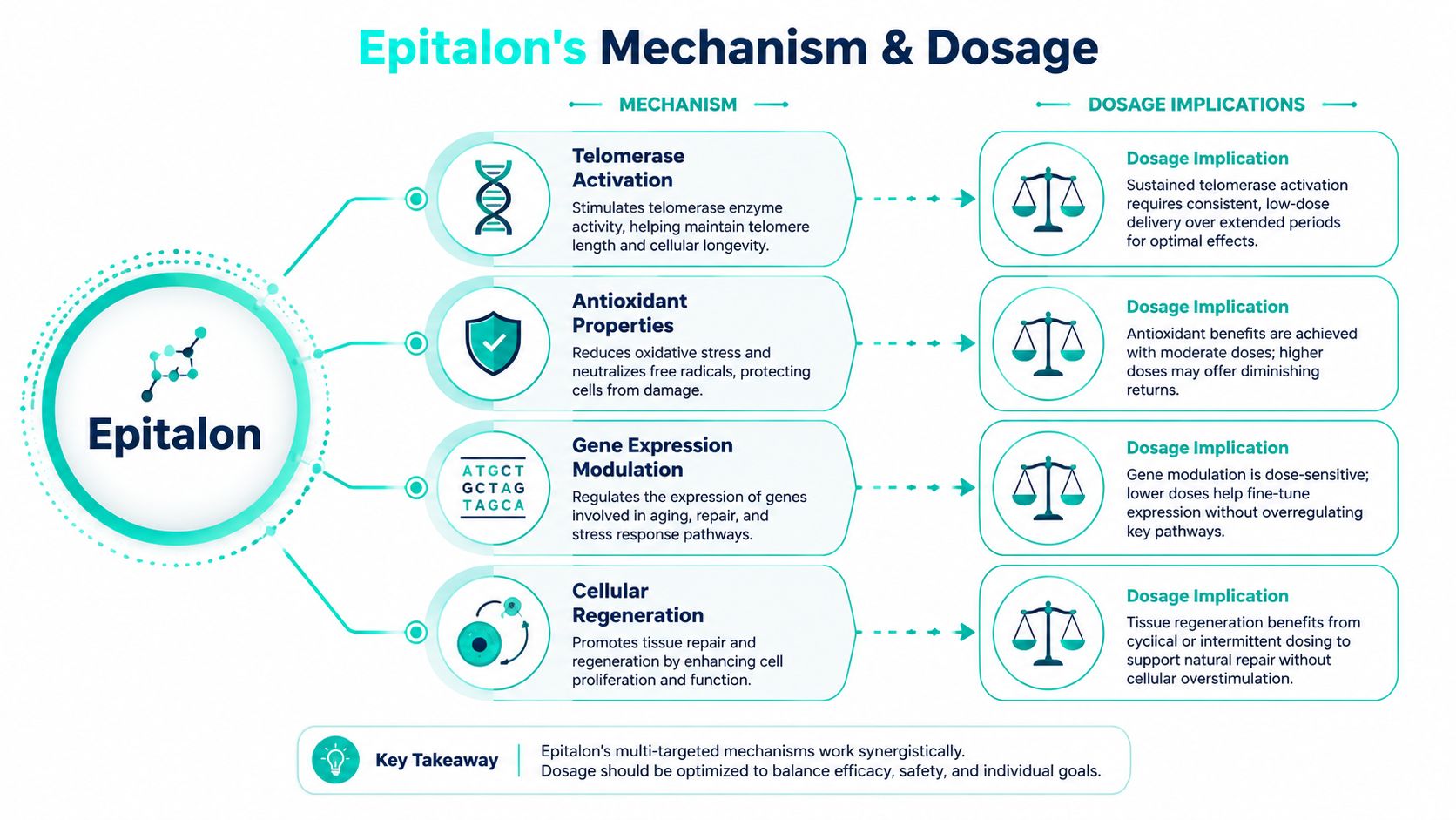 An infographic detailing the multi-targeted biological mechanisms and corresponding dosage implications of the peptide Epitalon.