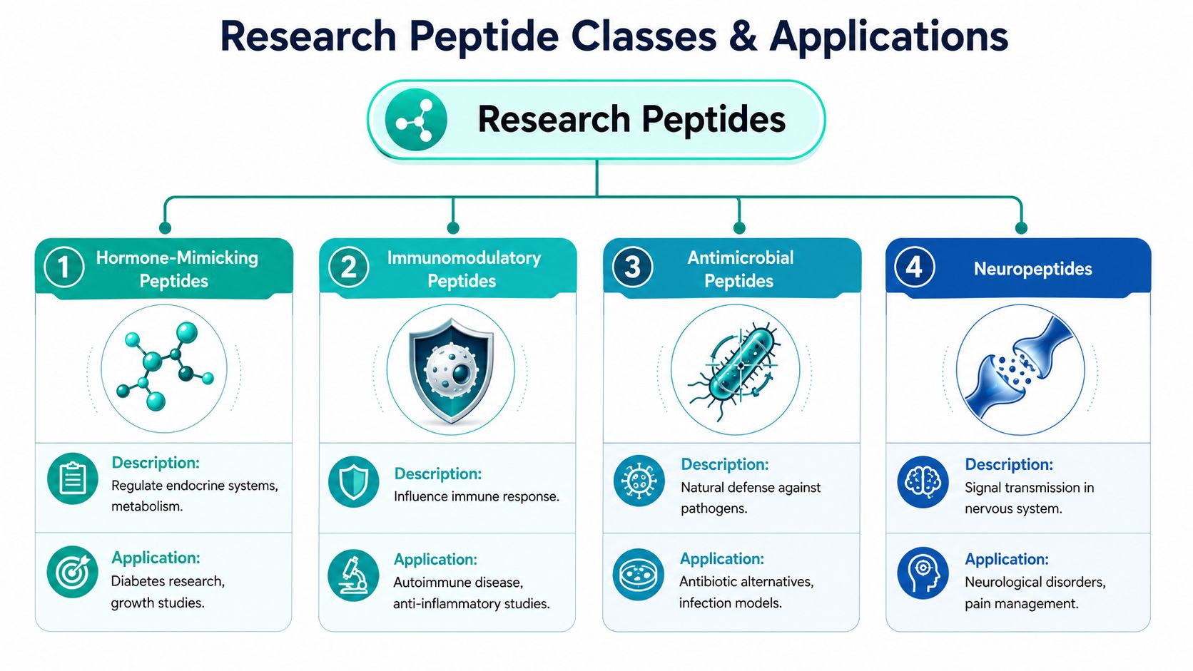 An infographic detailing four main classes of research peptides including their descriptions and medical research applications.