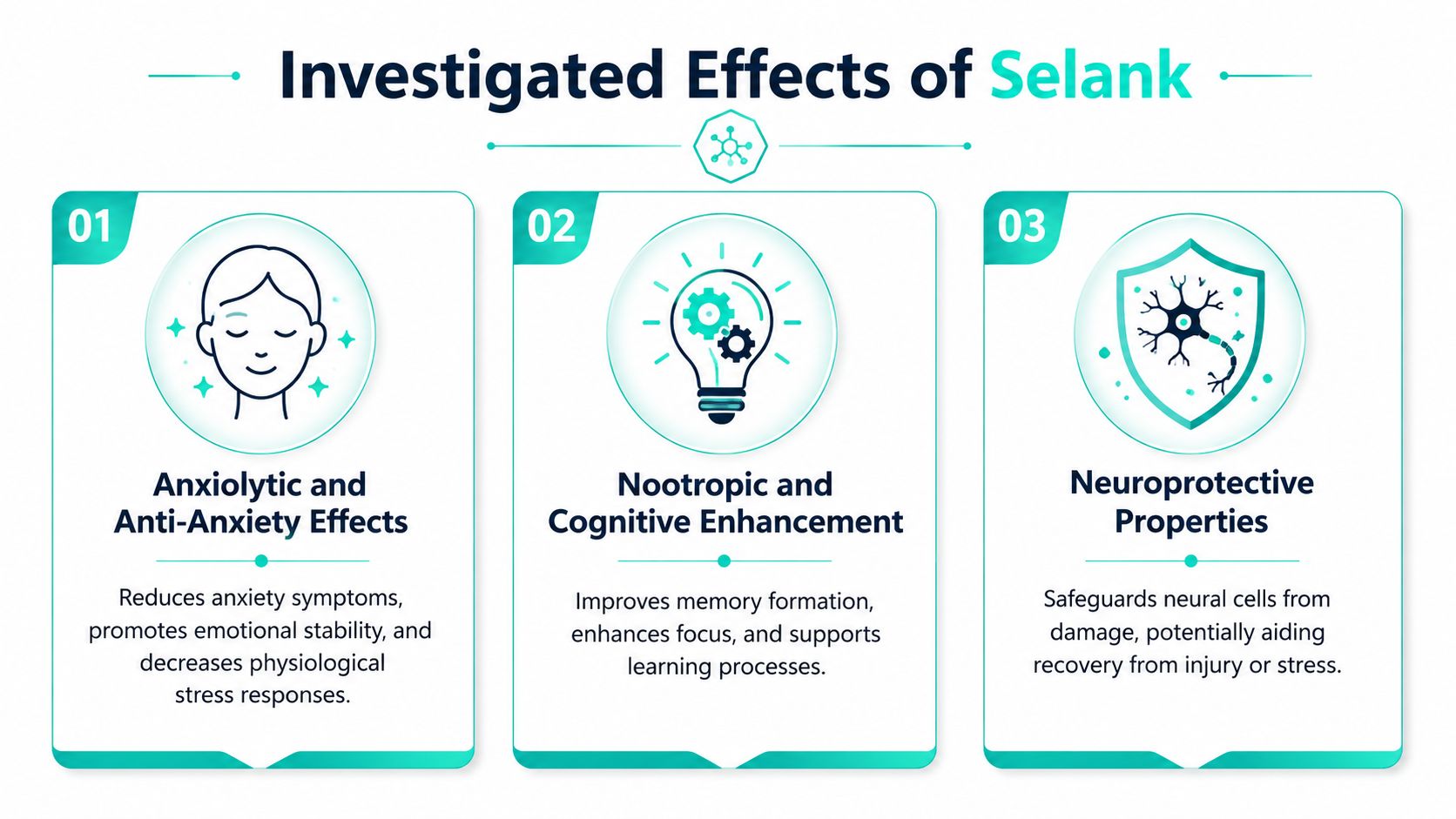 An infographic titled Investigated Effects of Selank, showing its anxiolytic, nootropic, and neuroprotective properties in three sections.