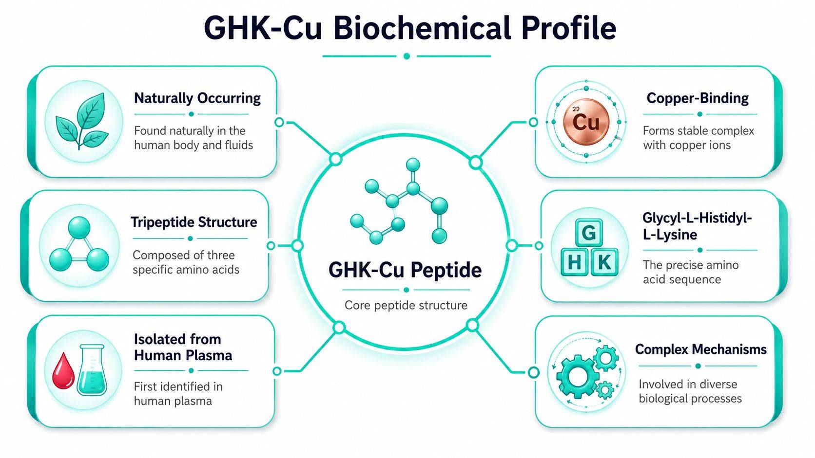 An infographic titled GHK-Cu Biochemical Profile highlighting key properties like its peptide structure and biological origins.