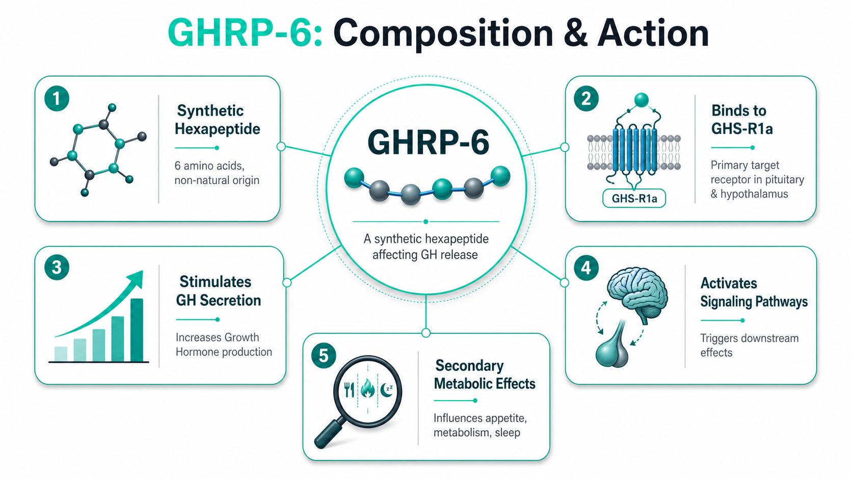 An infographic detailing the chemical composition and physiological actions of the synthetic peptide GHRP-6.