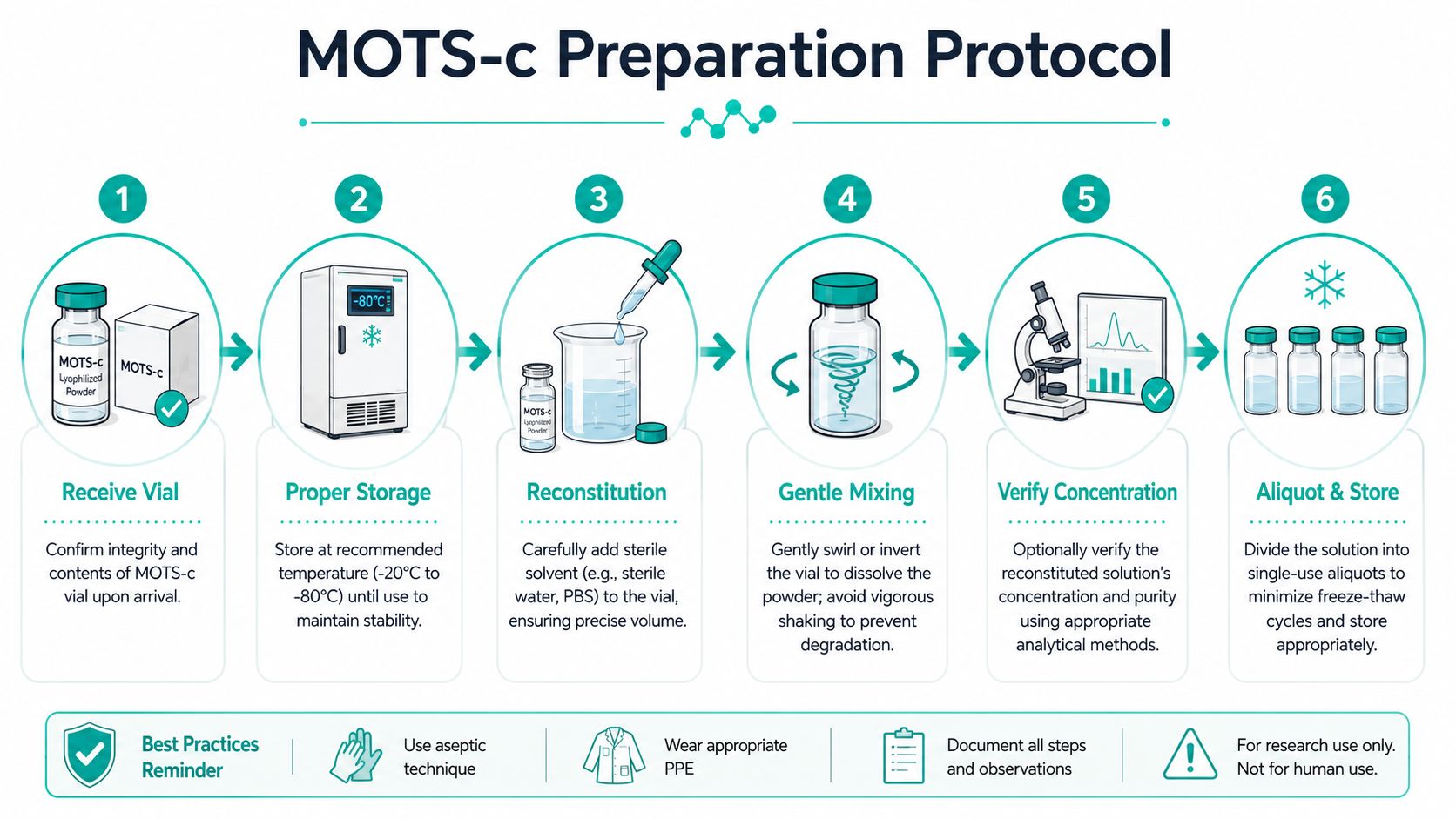 A six-step infographic illustrating the professional preparation protocol for handling and reconstituting MOTS-c lyophilized powder.