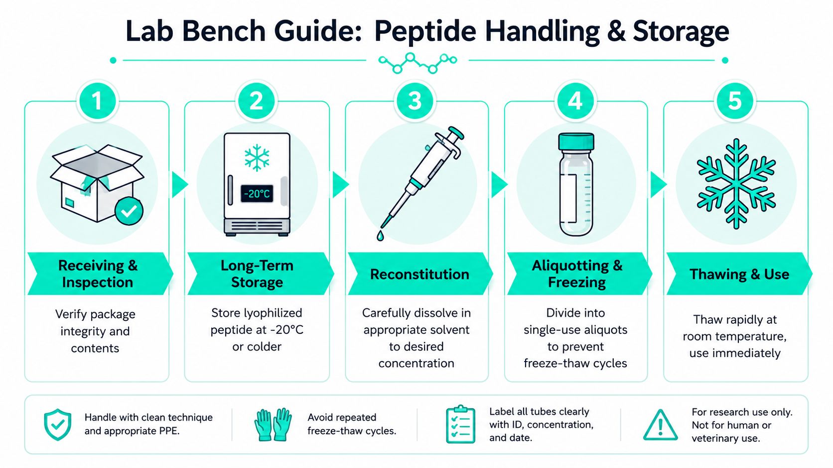 A five-step guide on how to safely handle and store peptides in a laboratory setting.