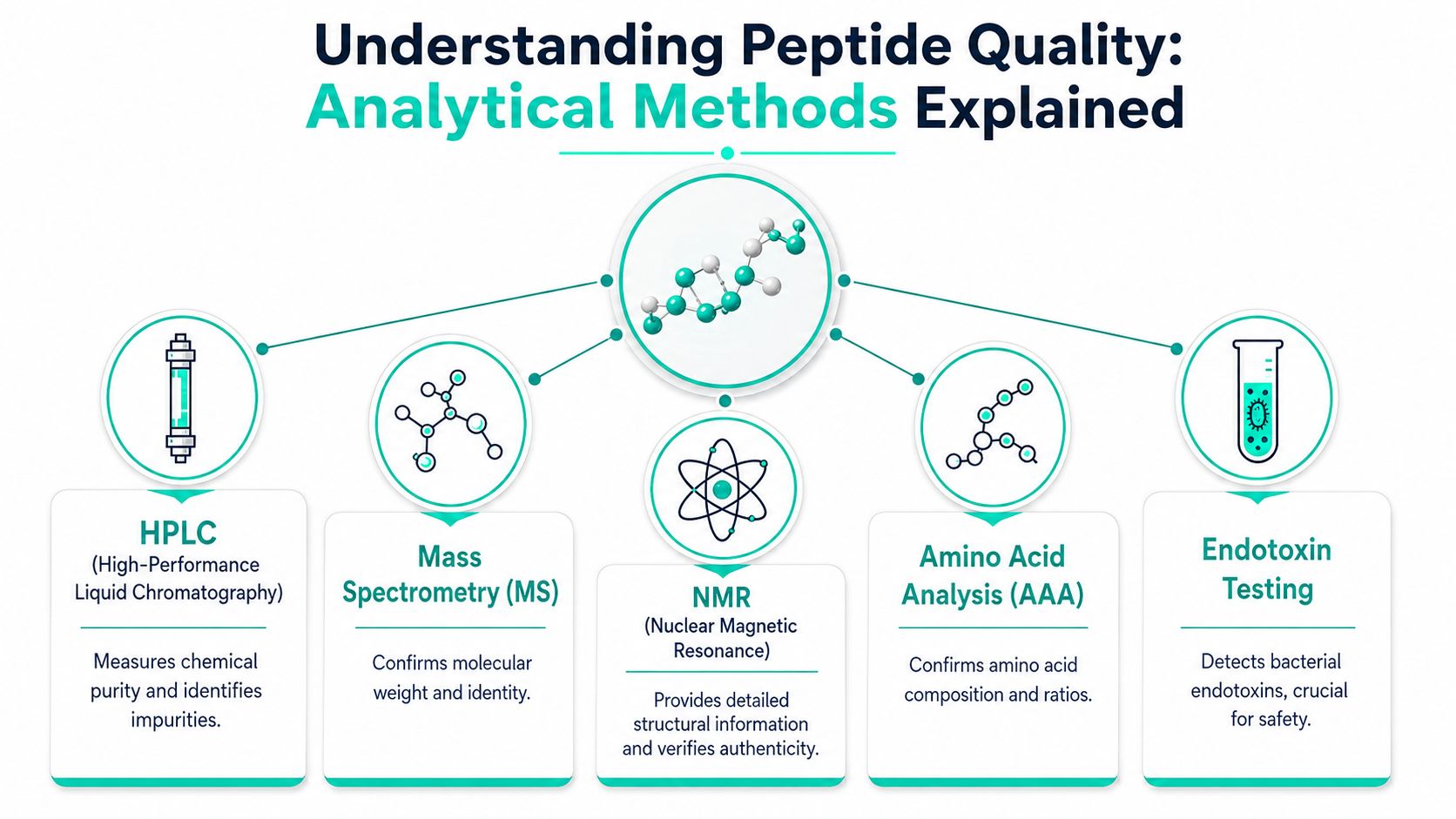 An infographic illustrating five analytical methods for checking peptide quality including HPLC, mass spectrometry, NMR, AAA, and endotoxin testing.