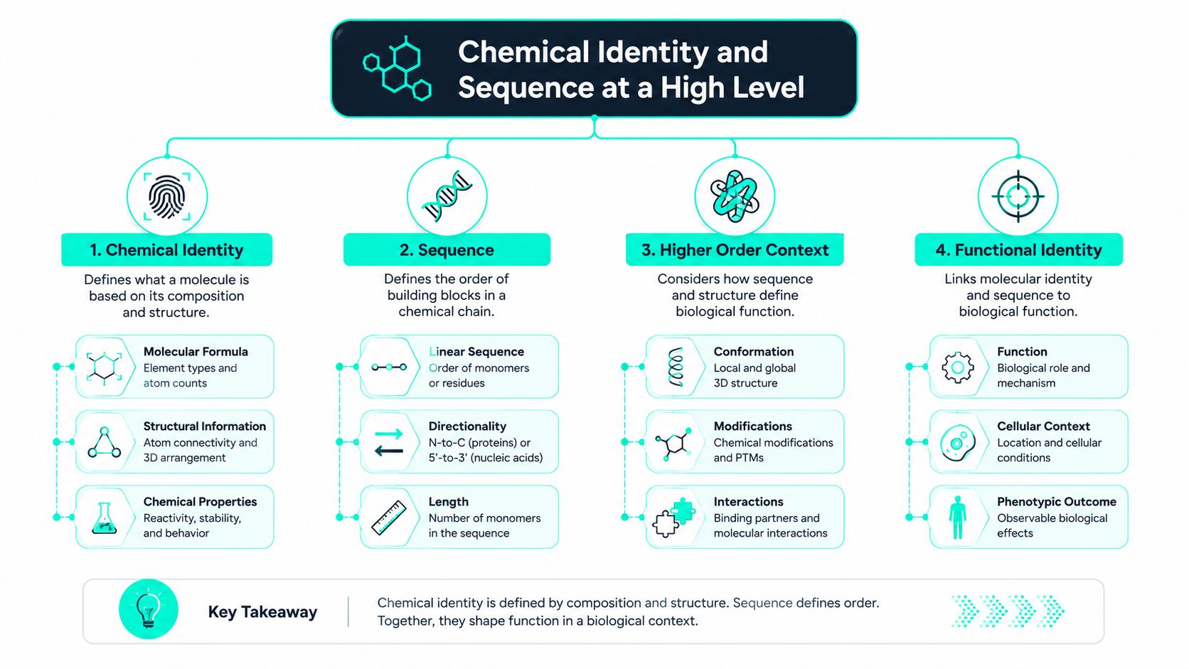 A diagram illustrating the hierarchy of chemical identity, sequence, higher order context, and functional identity in biology.