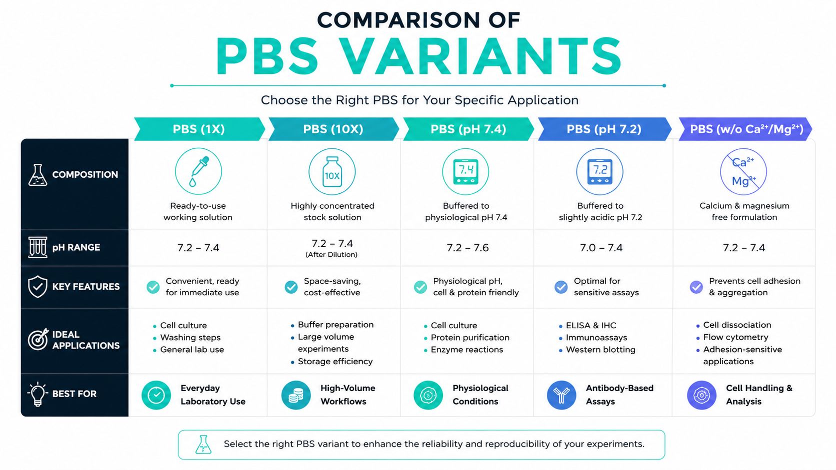 A comparison chart outlining different types of PBS solutions and their specific laboratory applications and features.