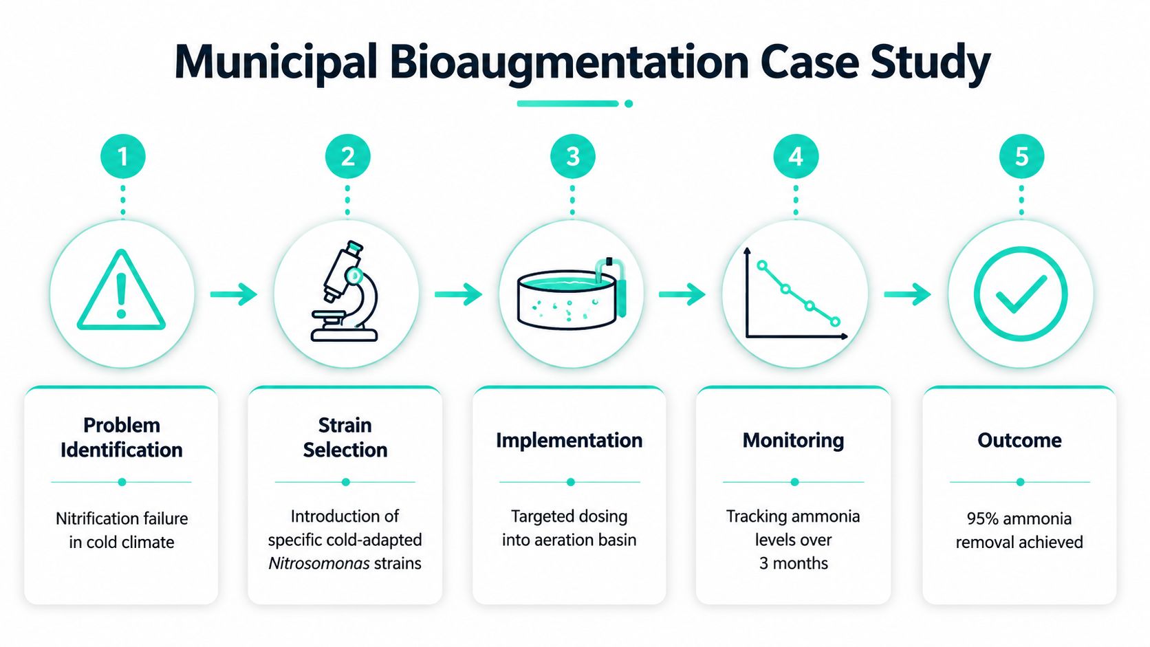 A five-step infographic illustrating a municipal bioaugmentation case study for effective wastewater treatment and ammonia removal.