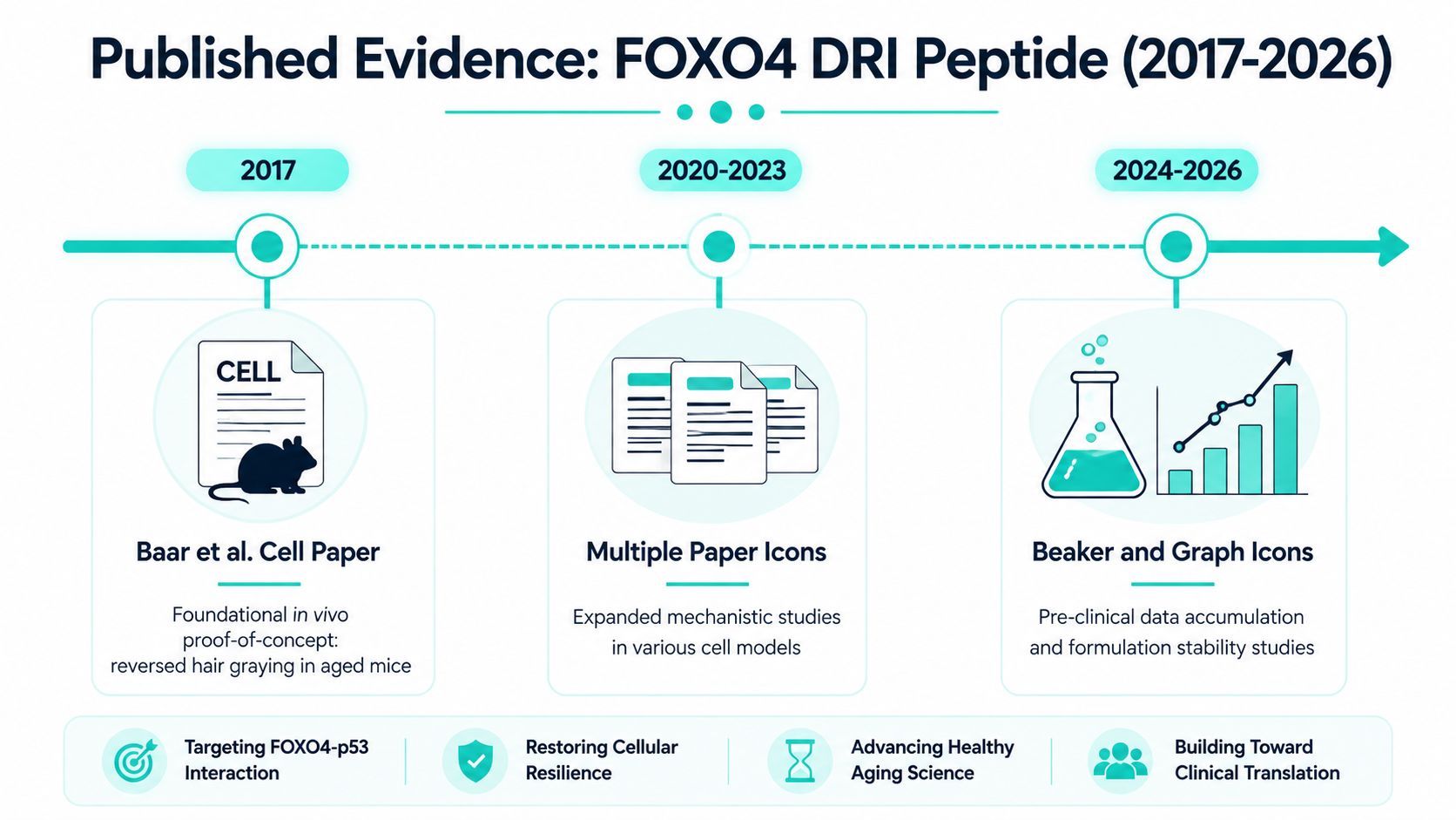 A timeline graphic showing the history and research progress of the FOXO4 DRI peptide from 2017 to 2026.