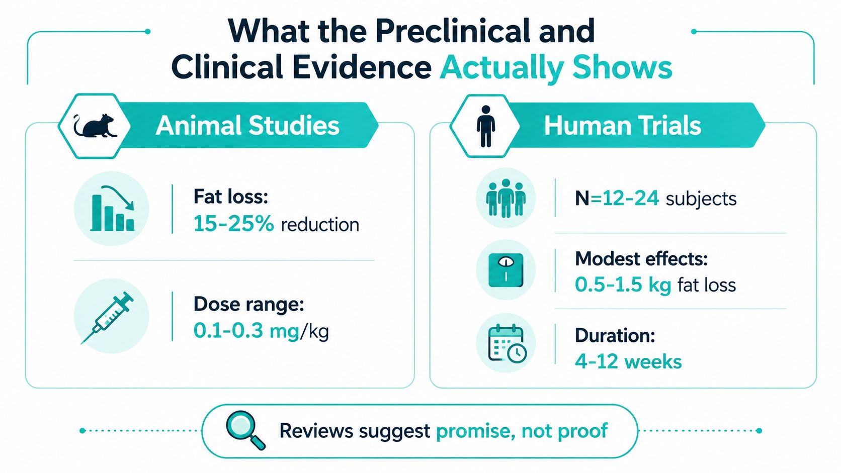 A comparative infographic showing differences between preclinical animal studies and clinical human trials for fat loss supplements.