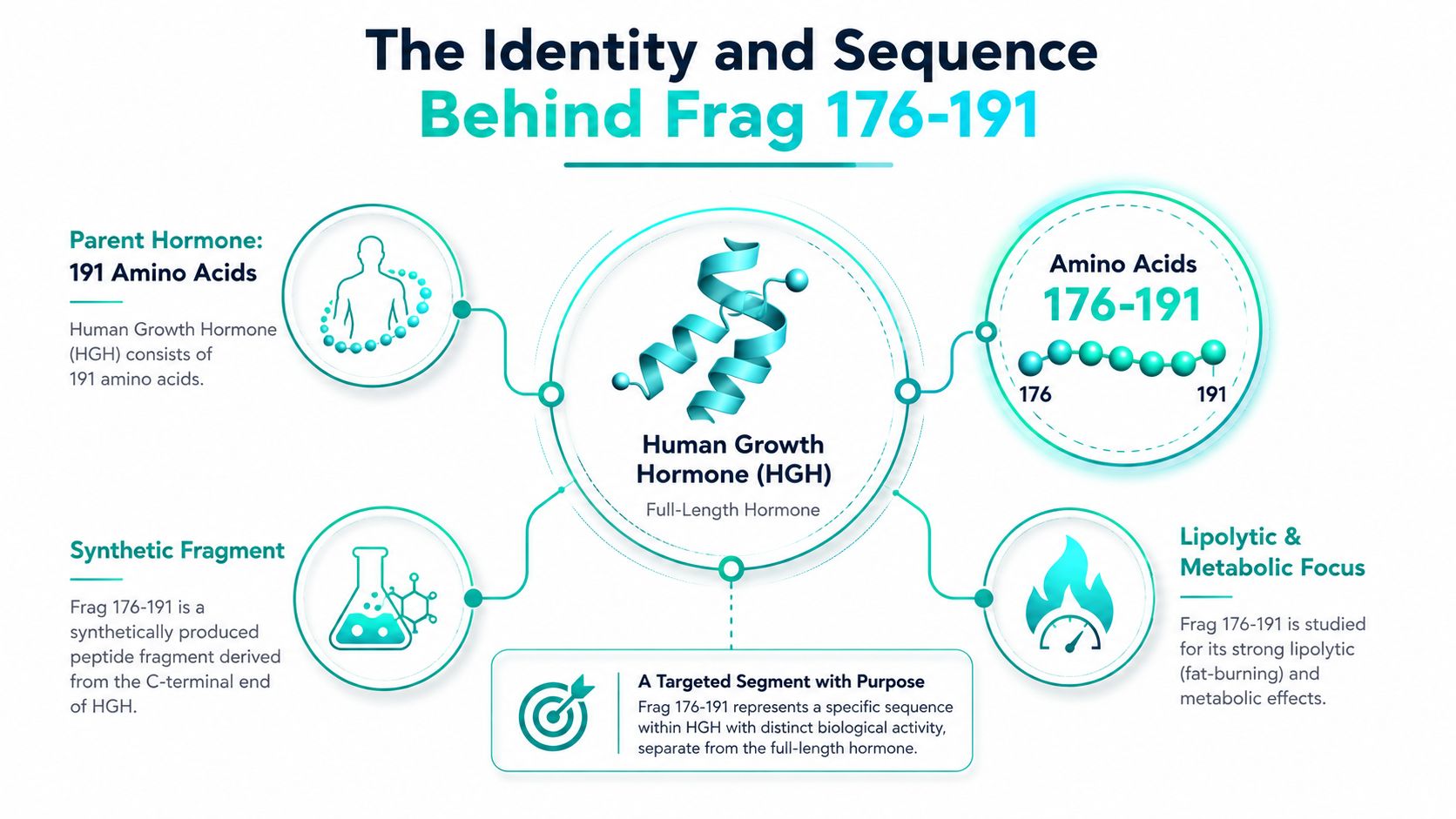 An infographic detailing the identity and sequence of the synthetic peptide fragment known as Frag 176-191.