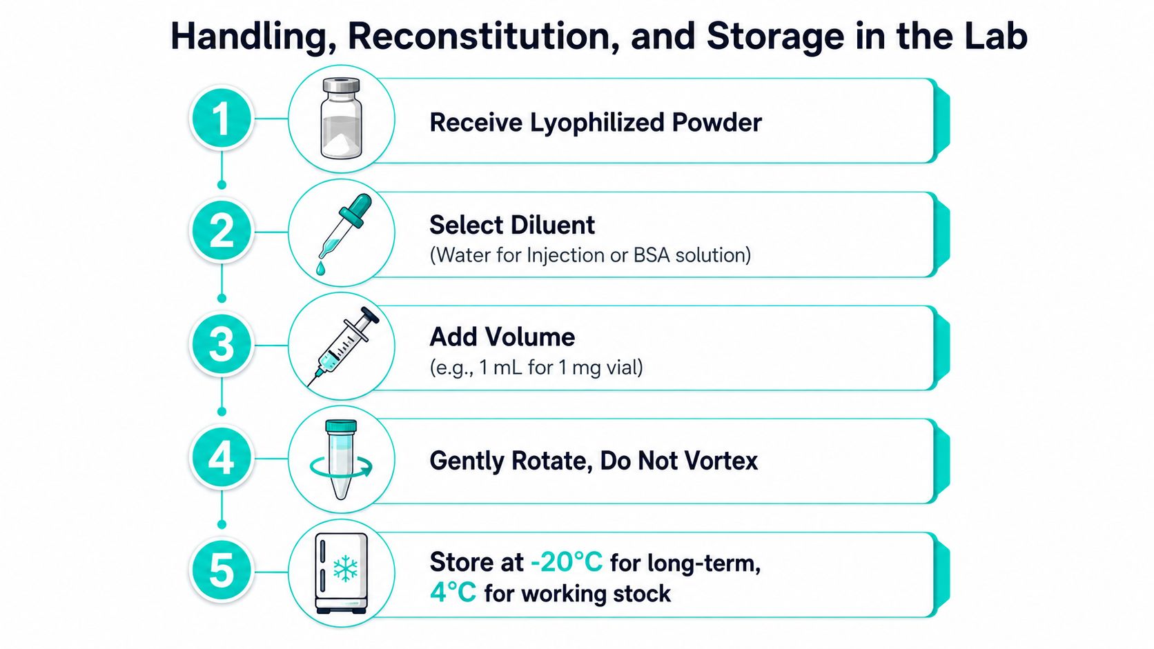 A step-by-step infographic showing laboratory procedures for handling, reconstituting, and storing lyophilized peptide powder safely.