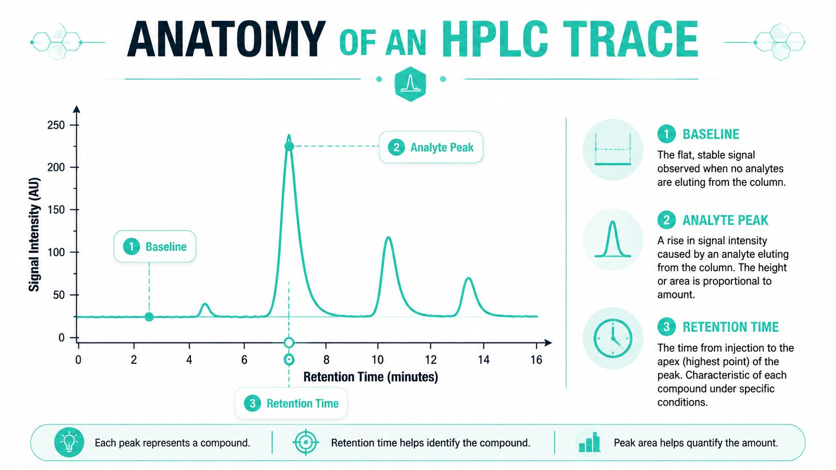 A diagram illustrating the anatomy of an HPLC trace, labeling the baseline, analyte peak, and retention time.