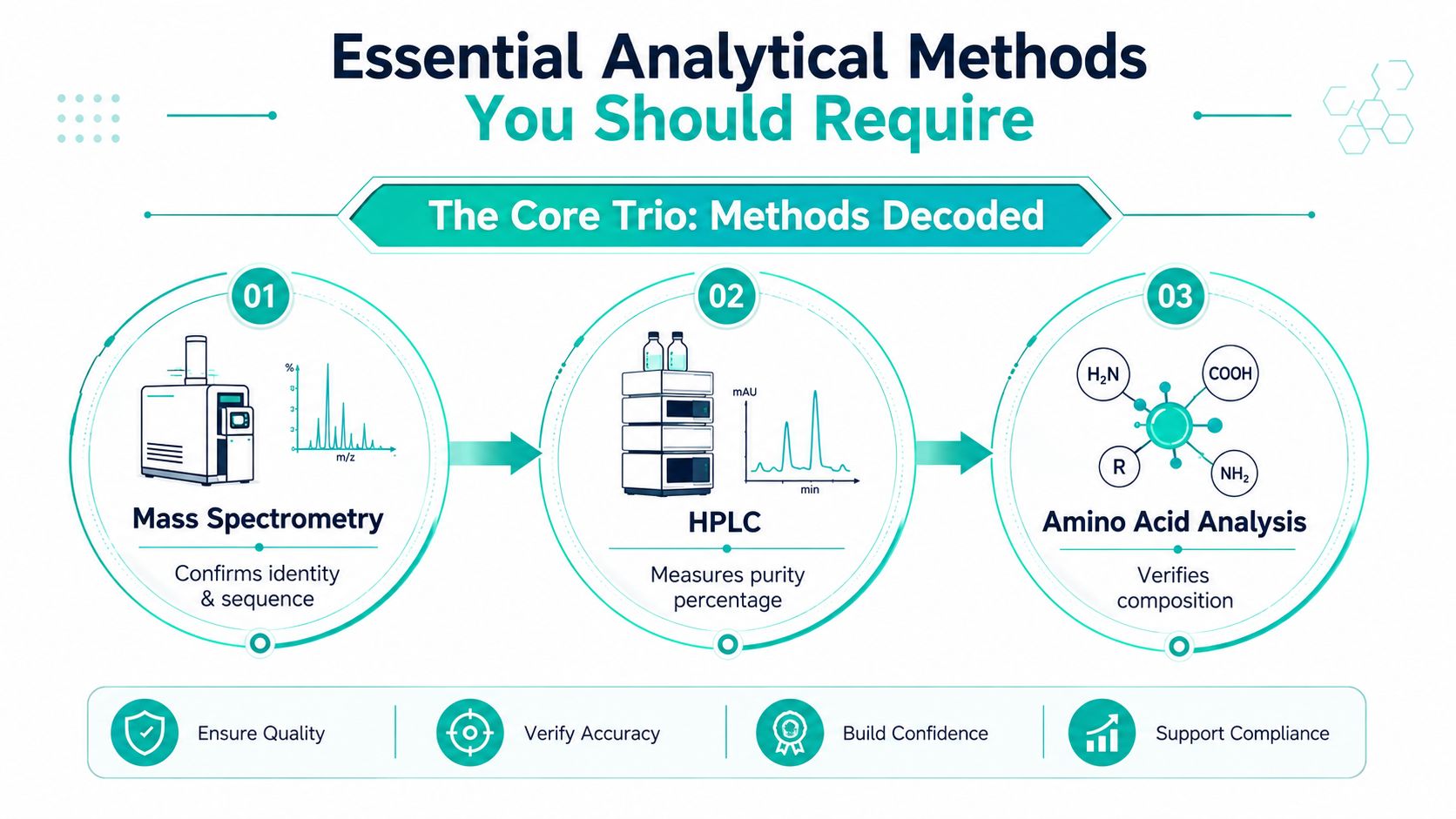 A diagram illustrating essential analytical methods for peptide testing including Mass Spectrometry, HPLC, and Amino Acid Analysis.