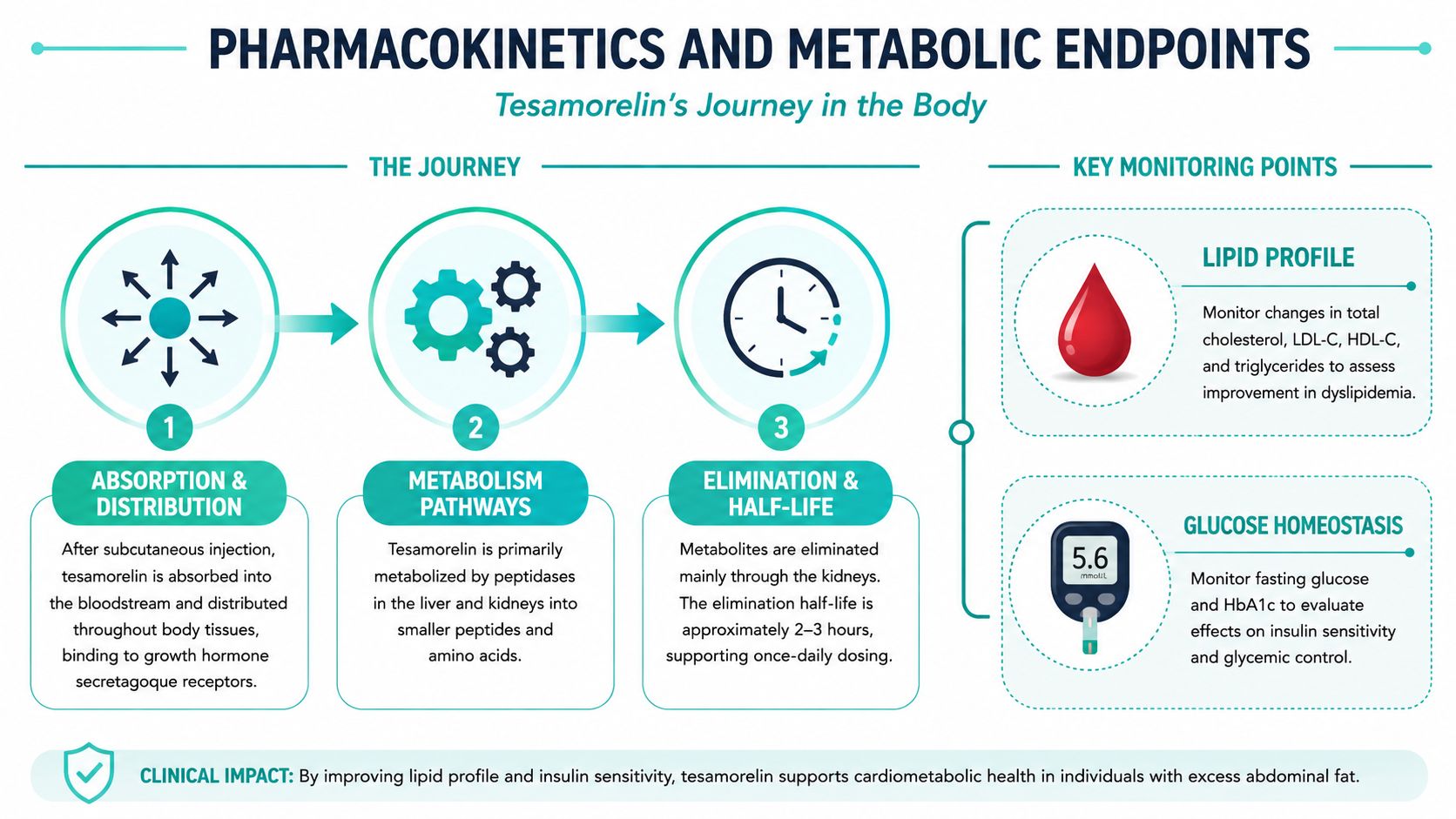 A diagram illustrating the pharmacokinetics of tesamorelin, including absorption, metabolism, elimination, and key metabolic monitoring points.
