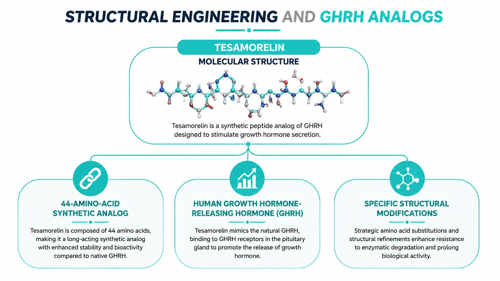 A scientific infographic showing the molecular structure and functional properties of the synthetic peptide Tesamorelin.