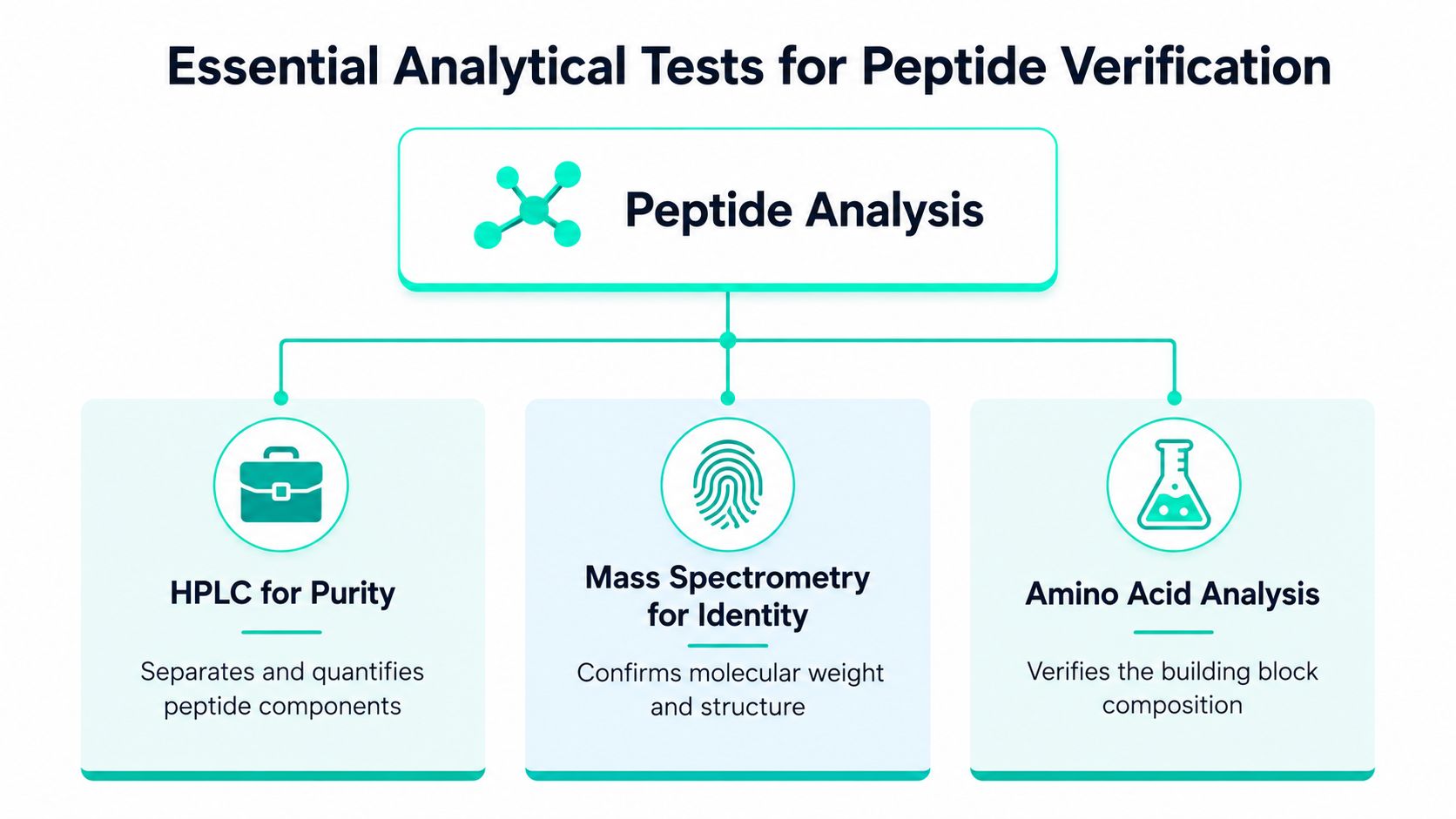 A diagram illustrating three essential analytical tests for peptide verification: HPLC, mass spectrometry, and amino acid analysis.
