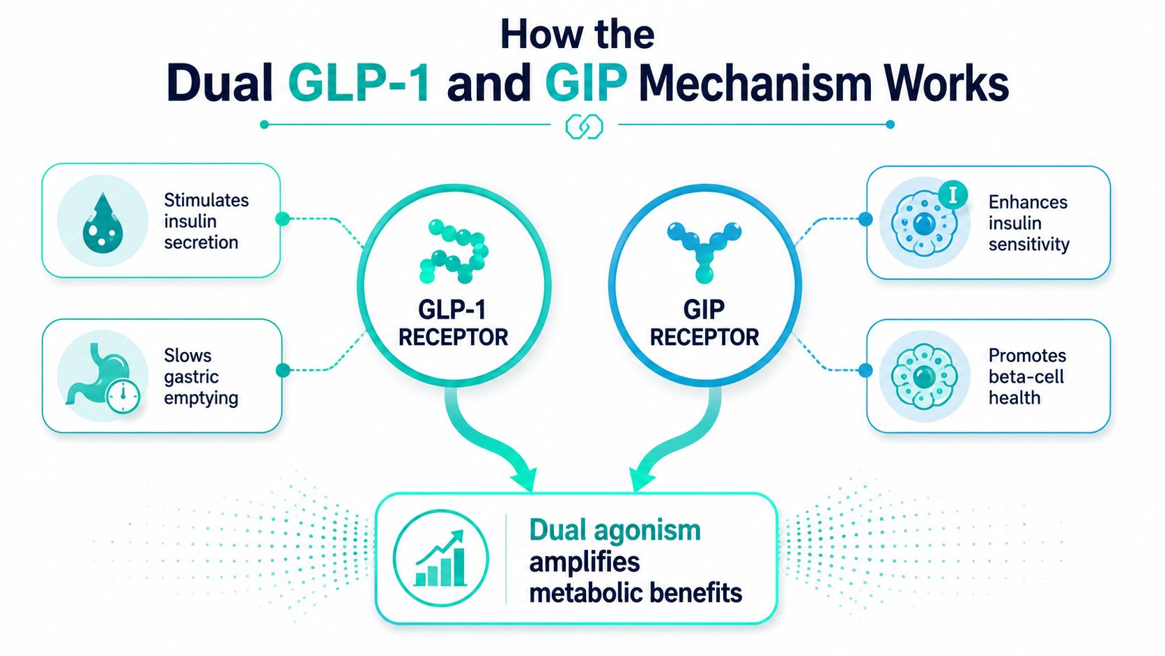 A diagram illustrating the dual agonist mechanism of GLP-1 and GIP receptors in promoting metabolic benefits.