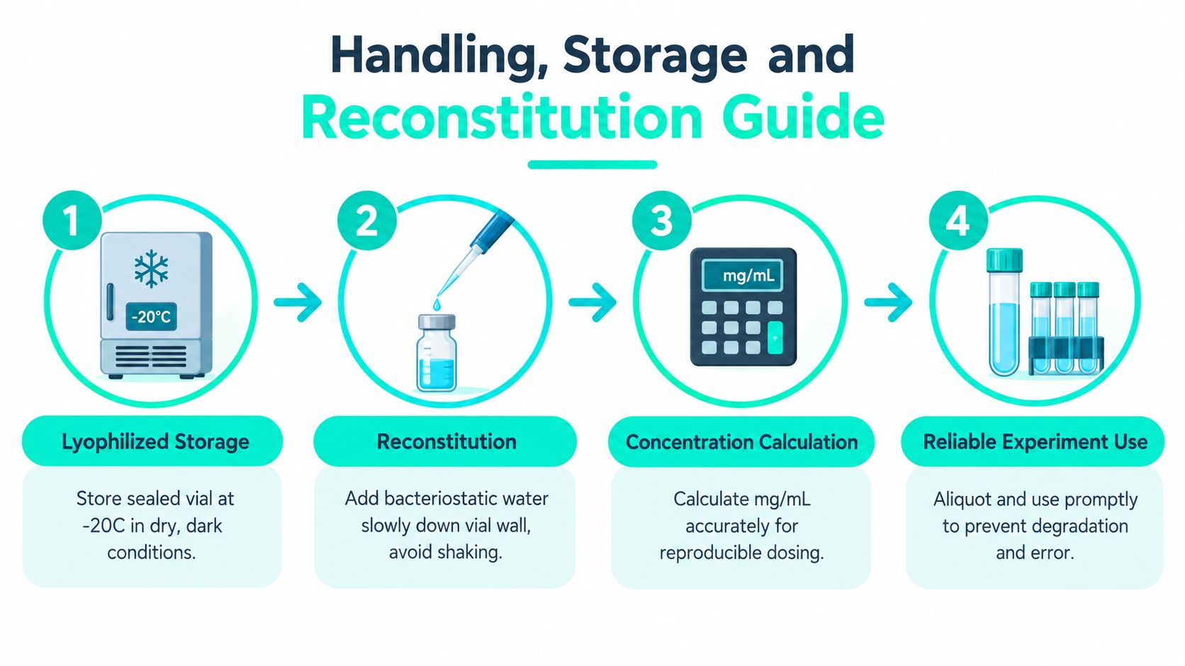 A four-step infographic illustrating the proper handling, storage, and reconstitution guide for lyophilized chemical or peptide vials.