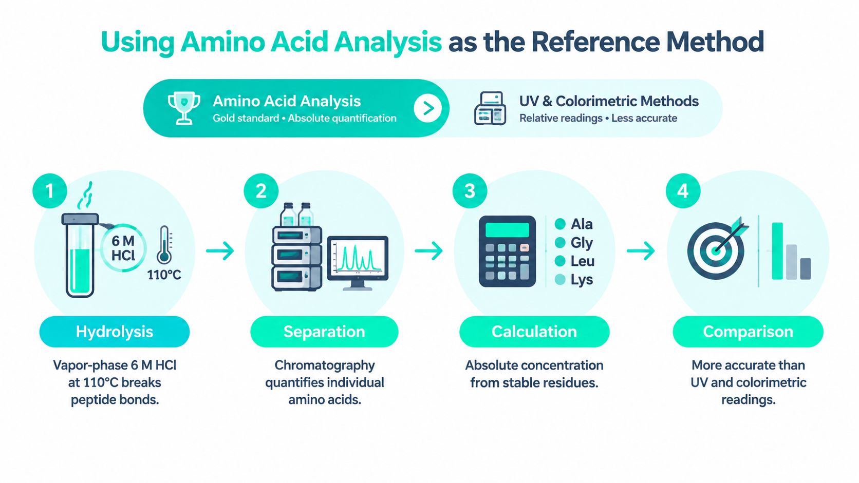 A four-step diagram illustrating the process of amino acid analysis for absolute protein concentration determination.