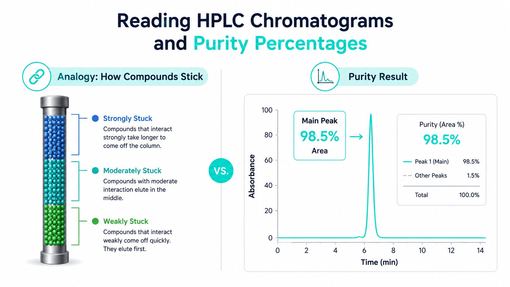 A diagram explaining HPLC chromatograms, showing column interactions alongside a sample purity percentage graph result.