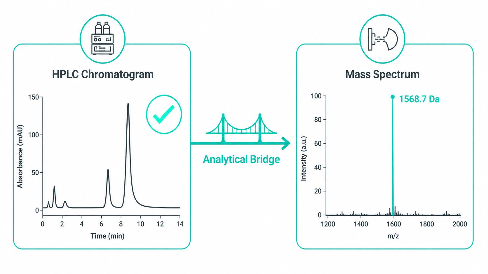 A diagram illustrating an analytical bridge between an HPLC chromatogram showing separation and a mass spectrum analysis.