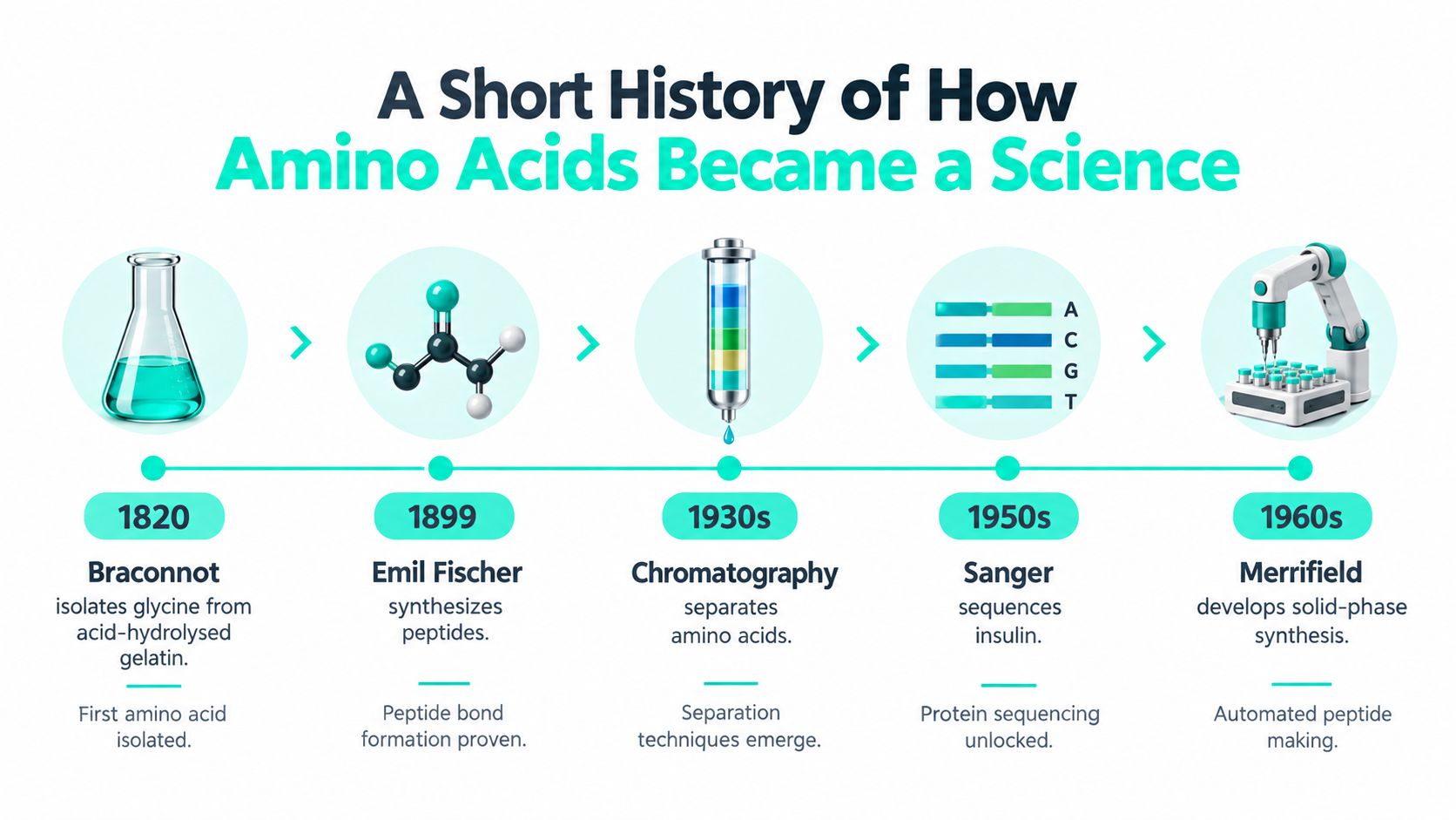 A timeline graphic illustrating the historical milestones of amino acid discovery and protein synthesis science from 1820.