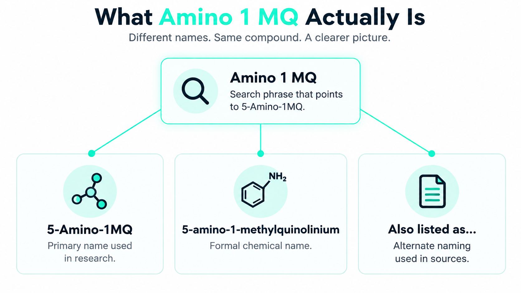 A diagram explaining that Amino 1 MQ is a search term for the compound 5-Amino-1-methylquinolinium.