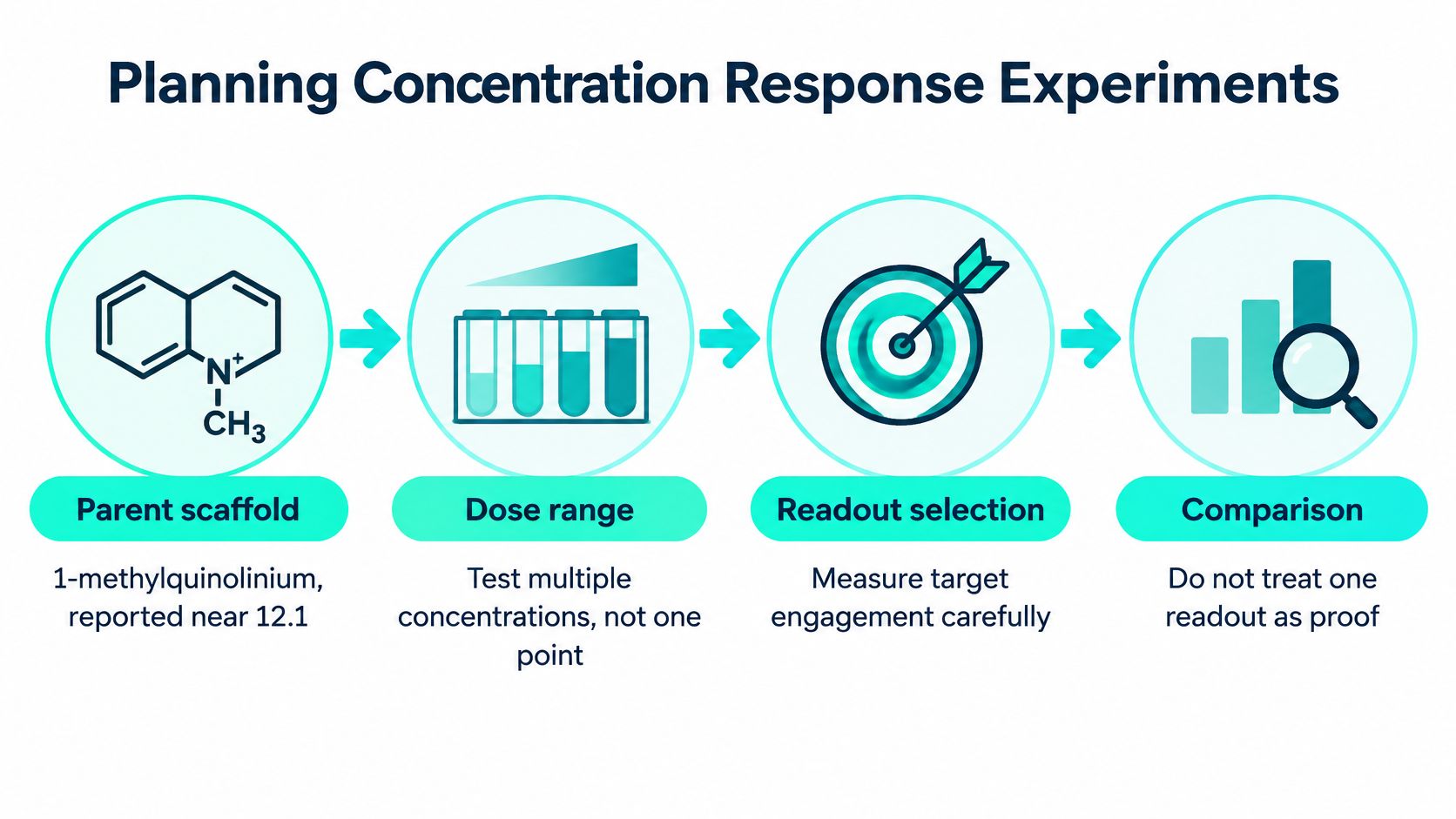 An infographic showing four steps for planning concentration response experiments, from identifying scaffolds to final comparison analysis.