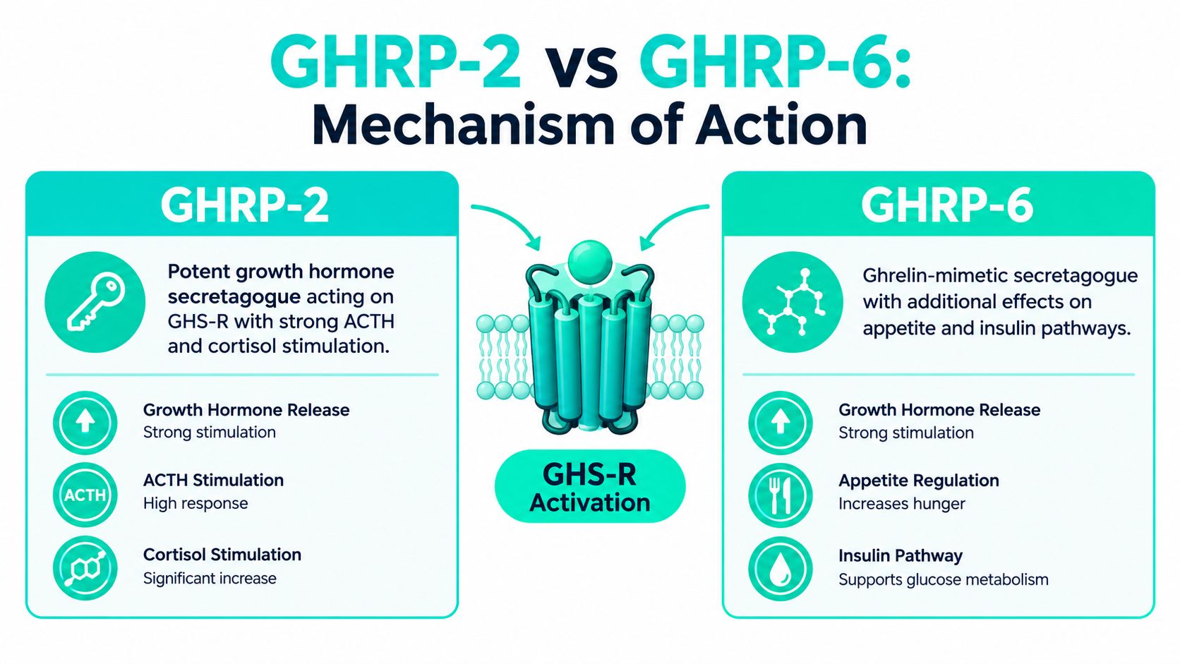 A comparison infographic showing the mechanisms of action for GHRP-2 and GHRP-6 on GHS-R activation.