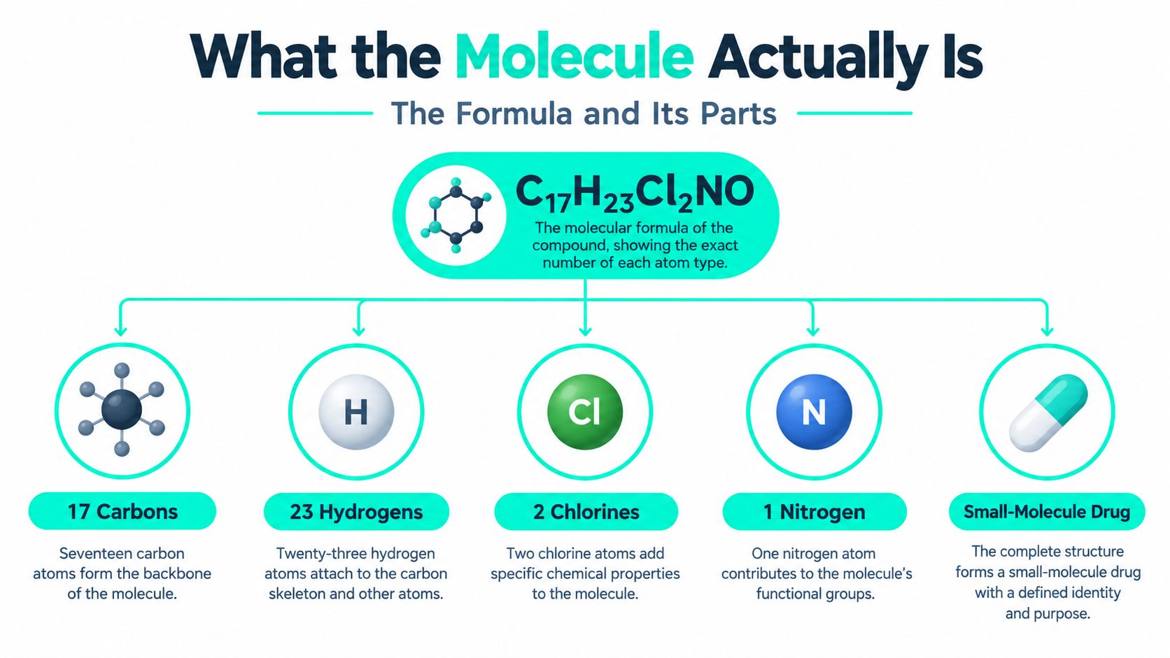 An infographic detailing the molecular formula C17H23Cl2NO, breaking down its elemental composition of carbons, hydrogens, chlorines, and nitrogen.