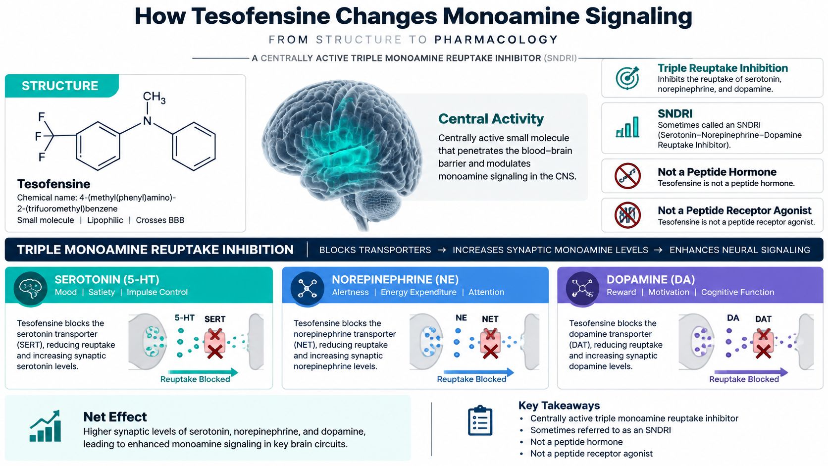 An infographic explaining how the drug Tesofensine functions as a triple monoamine reuptake inhibitor in the brain.