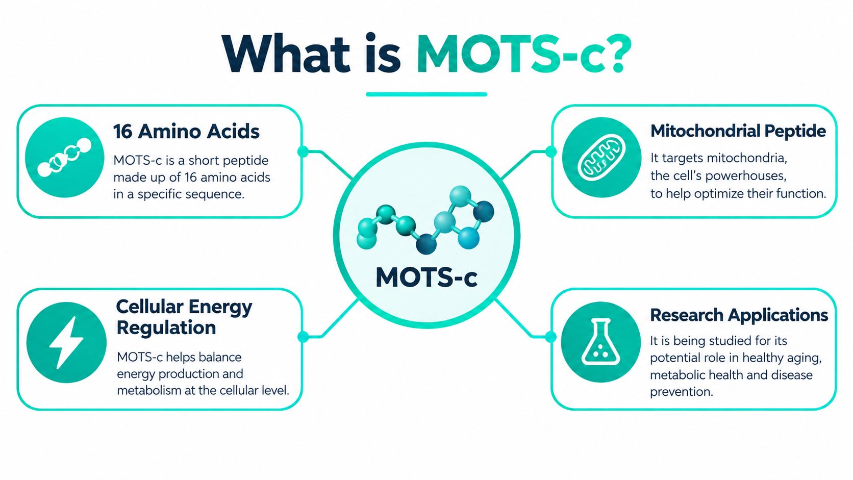 An infographic titled What is MOTS-c explaining its function, structure, and research applications for cellular health.