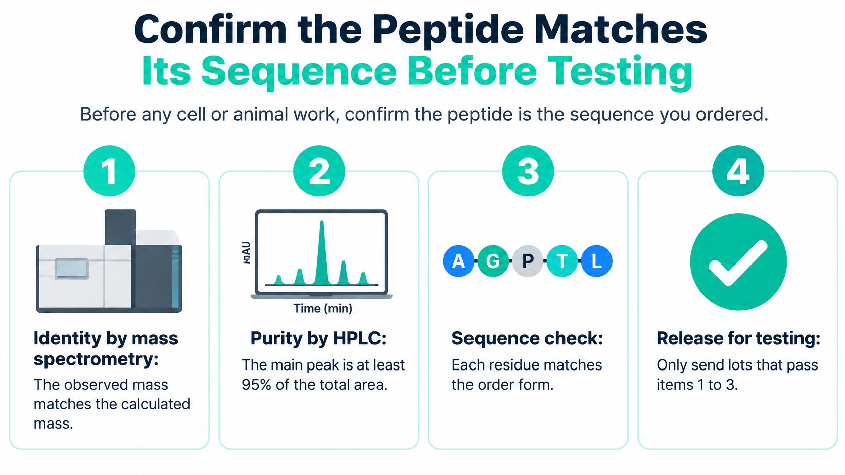 An infographic showing a four-step process for confirming peptide identity and purity before experimental testing.
