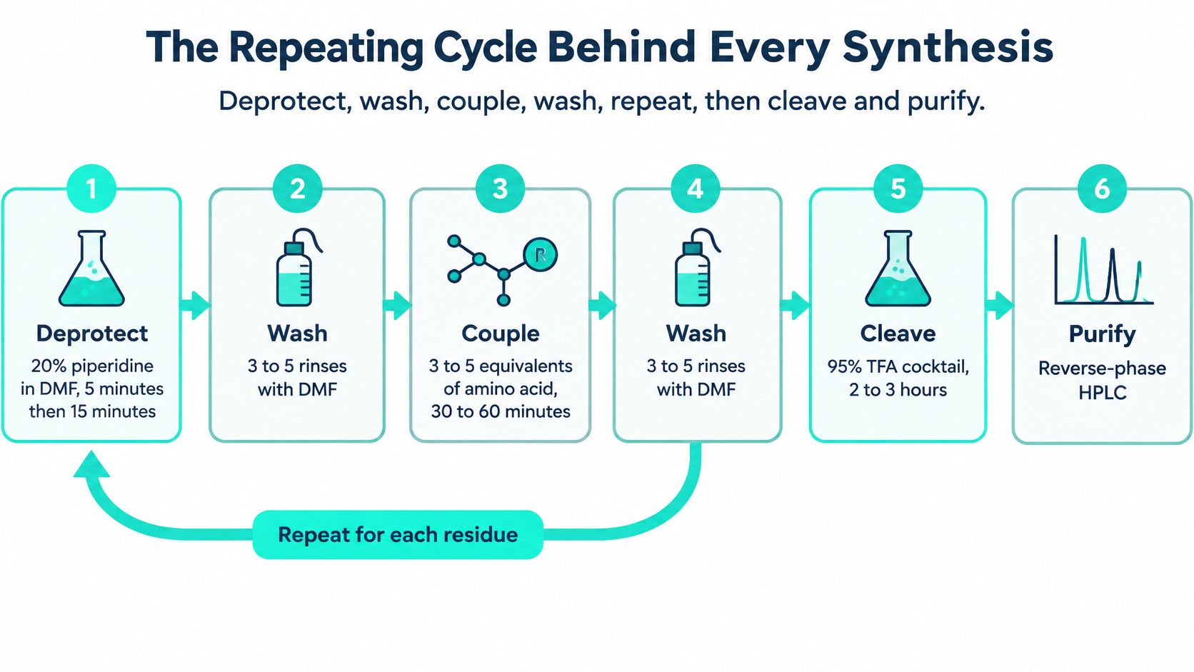 A diagram illustrating the six-step repeating cycle of solid-phase peptide synthesis, including deprotection, washing, coupling, cleavage, and purification.